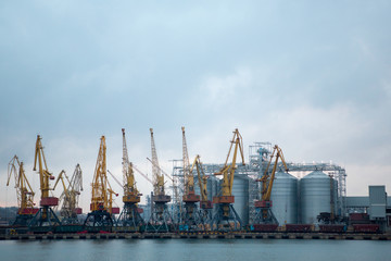 Fototapeta premium Railroad cars in port for loading unloading. Port cranes unload, load freight railroad cars in industrial port at port terminal