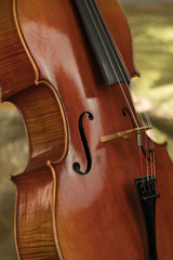 brown Mastercello