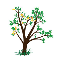 Tree green with leaves