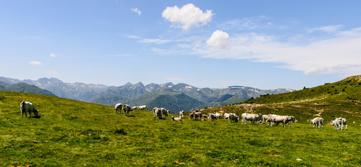 Plateau de Beille