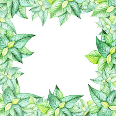Tropic green leaves border on white background. Hand drawn watercolor illustration.