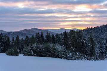 Fototapeta na wymiar Picturesque panorama of winter mountains and forest at sunrise in an early morning.