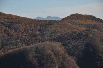 色づく山肌　明智平からの眺め　いろは坂　日光　秋　山々