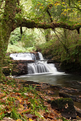 Beautiful water cascade in Clare Glens