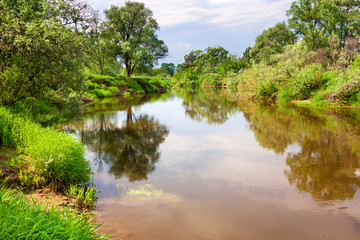 Fototapeta na wymiar spring rural landscape with river, forest