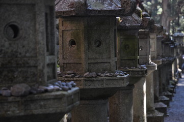 石灯篭　灯篭　参道　神社