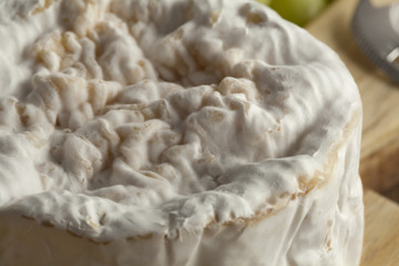 Small camembert cheese close up