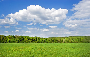 Fields and woods in Yasnaya Polyana, the former estate of the writer Leo Tolstoy