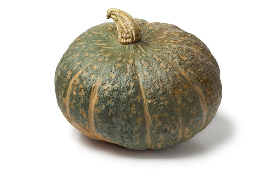 Fresh picked pumpkin Courge Delica Moretti
