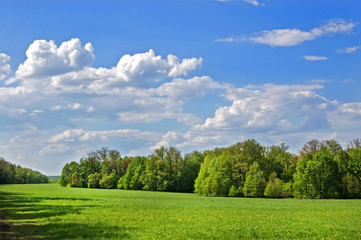Fields and woods in Yasnaya Polyana, the former estate of the writer Leo Tolstoy