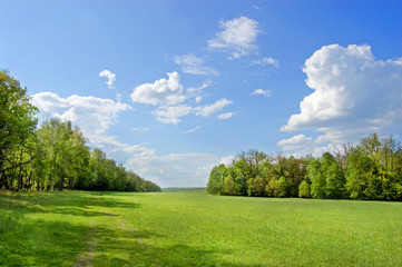 Fields and woods in Yasnaya Polyana, the former estate of the writer Leo Tolstoy