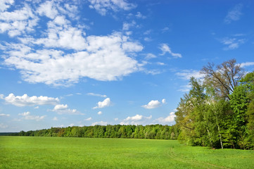 Fields and woods in Yasnaya Polyana, the former estate of the writer Leo Tolstoy