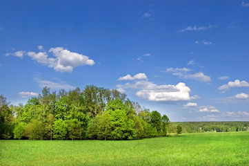 Obraz premium Fields and woods in Yasnaya Polyana, the former estate of the writer Leo Tolstoy