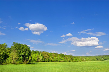 Fields and woods in Yasnaya Polyana, the former estate of the writer Leo Tolstoy