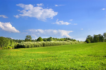 Fields and woods in Yasnaya Polyana, the former estate of the writer Leo Tolstoy