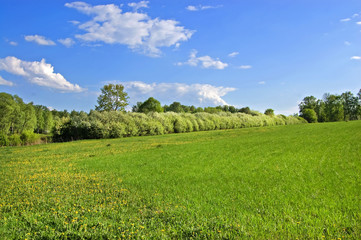 Fields and woods in Yasnaya Polyana, the former estate of the writer Leo Tolstoy