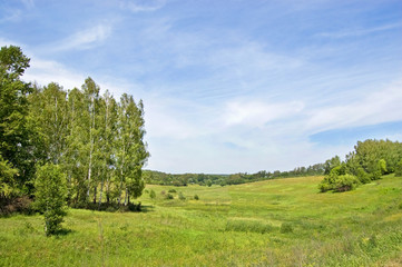 Fototapeta premium Fields and woods in Yasnaya Polyana, the former estate of the writer Leo Tolstoy
