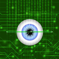 Biometric Identification System for Eye