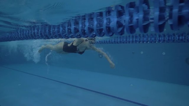 Woman swimmer swimming crawl stroke on path in transparent water pool 60 fps