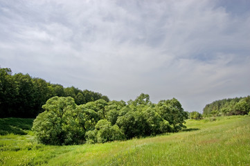 Fields and woods in Yasnaya Polyana, the former estate of the writer Leo Tolstoy