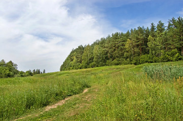 Obraz premium Fields and woods in Yasnaya Polyana, the former estate of the writer Leo Tolstoy