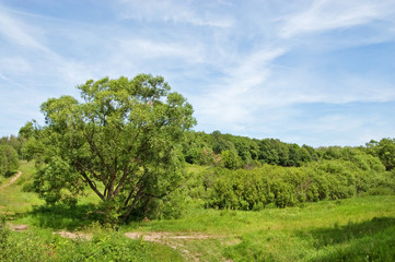 Fields and woods in Yasnaya Polyana, the former estate of the writer Leo Tolstoy