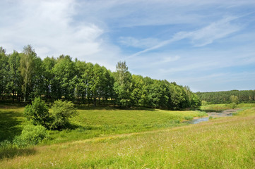 Obraz premium Fields and woods in Yasnaya Polyana, the former estate of the writer Leo Tolstoy