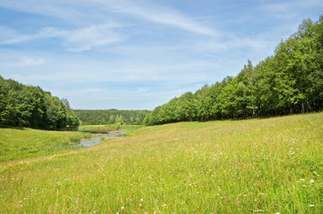 Obraz premium Fields and woods in Yasnaya Polyana, the former estate of the writer Leo Tolstoy