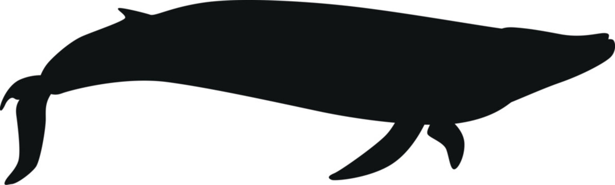 Blue whale vector silhouette