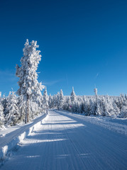 Straße mit Schneedecke 