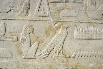 Ancient egypt art and hieroglyphs carved on the stone
