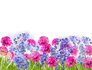 Obraz na płótnie Canvas Spring flower, isolated on white background