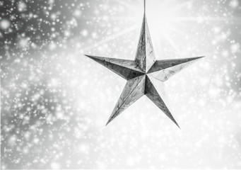 Weihnachtsstern,