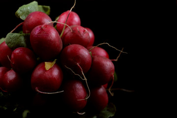 radish ripe with green leaves on black background