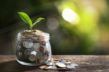 Image of pile of coins with plant on top in glass jar for business, saving, growth, economic concept