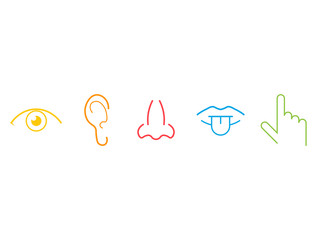 five senses icons