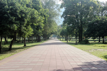Scenary of Taiping Lake Garden located in Taiping, Perak