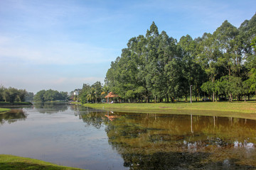 Fototapeta na wymiar Scenary of Taiping Lake Garden located in Taiping, Perak