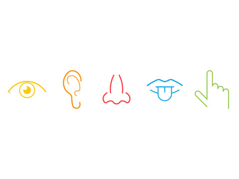 five senses icons
