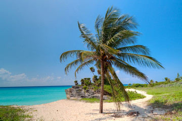 Fototapeta na wymiar Caribbean Sea scenery in Playa del Carmen, Mexico