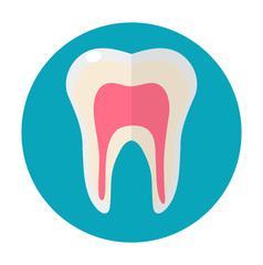 Healthy white teeth. Icon flat style. Dentistry, dentist concept. Isolated on white background. Vector illustration