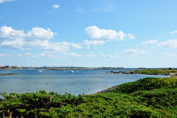 Fototapeta premium Summer landscape