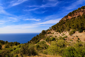 Fototapeta na wymiar mediterranean flair - Mallorca