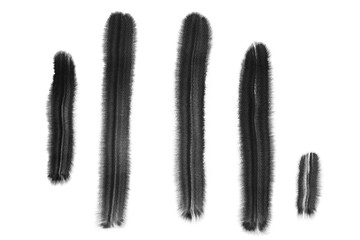 Black Stripes On White Background