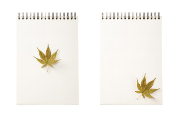 set of paper ring binding note book with fall leaf isolated on the white background.