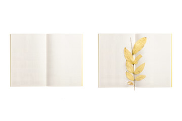 set of paper note book with fall leaf isolated on the white background.