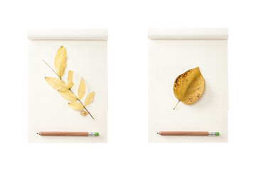 set of roll paper note book with fall leaf isolated on the white background.