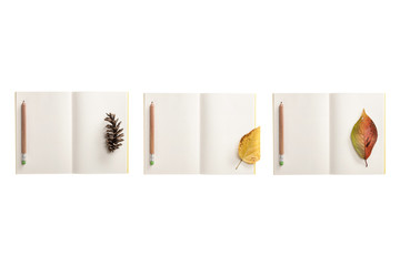 set of paper note spread with leaf isolated on the white background.