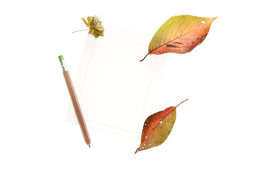 dry leaves and pencil isolated on the white background.
