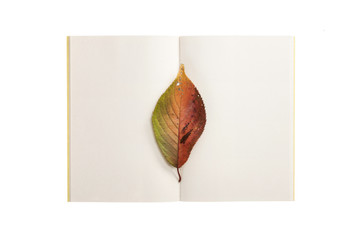 white paper note spread with leaf isolated on the white background.